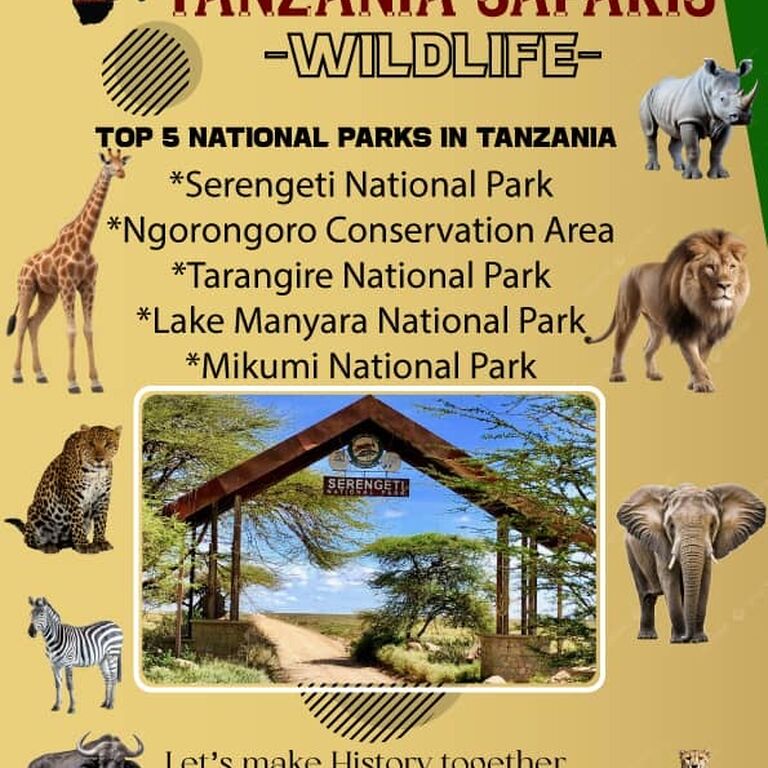 AfriOne Adventures and Safari LLC