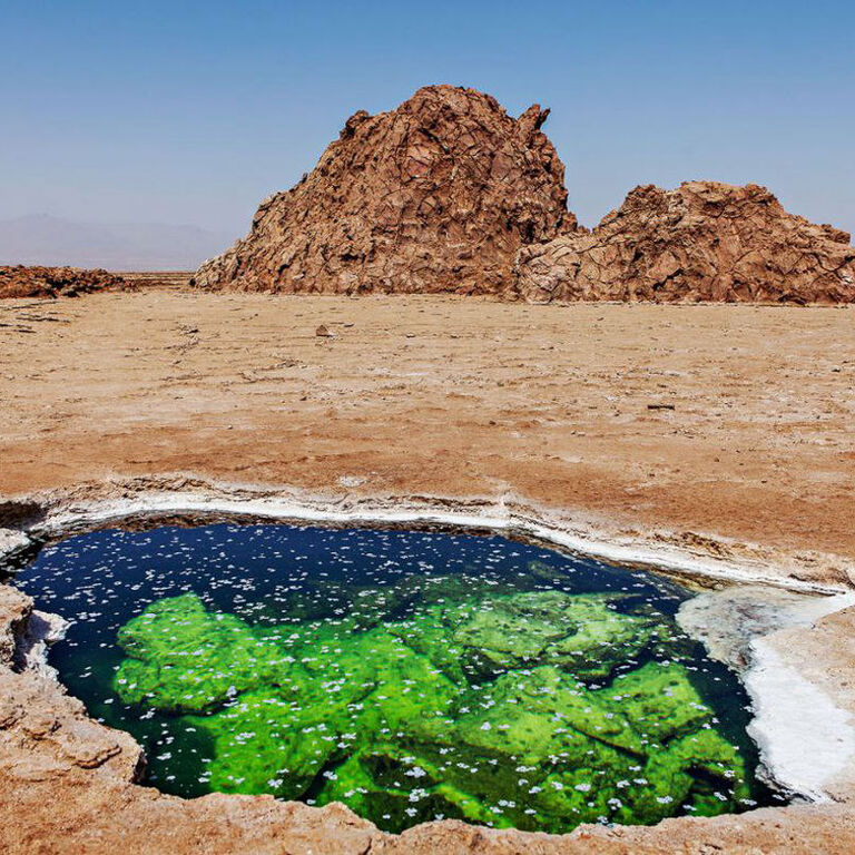 Vowland Ethiopia Tour and Travel