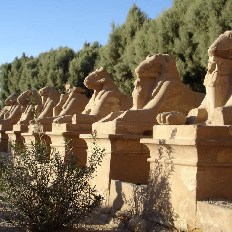 Ra Egypt tour guide