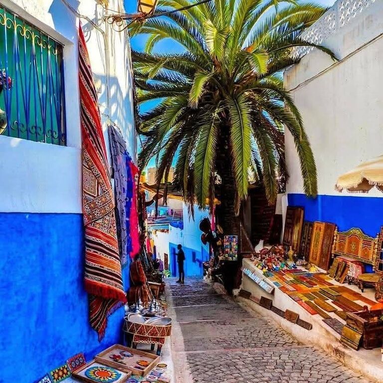 Fes to chefchaouen day trip
