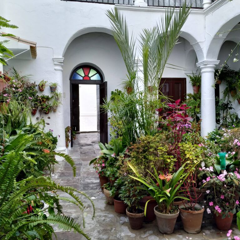 Explore la Tierra
