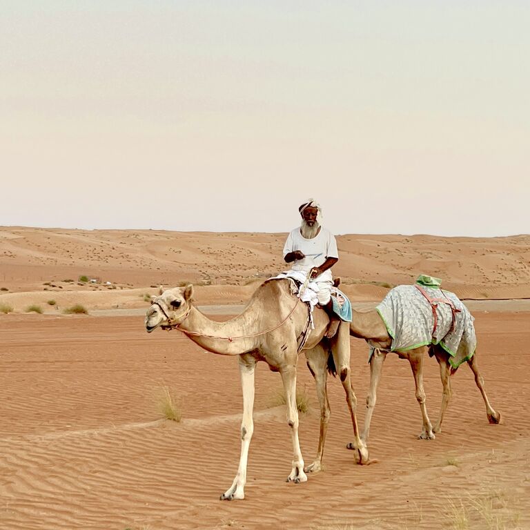Desert safari
