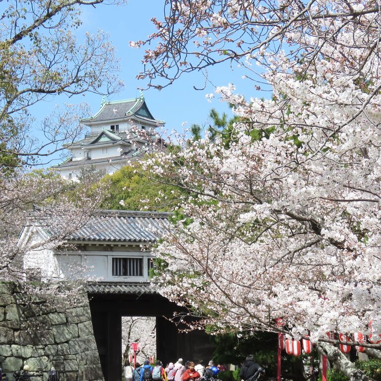 Tama Transmission Office