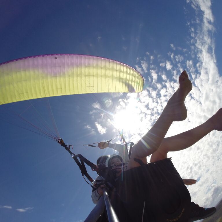 Dolphin Paragliding