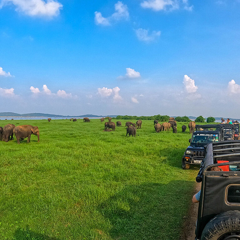 Sri Sri Lanka Tours