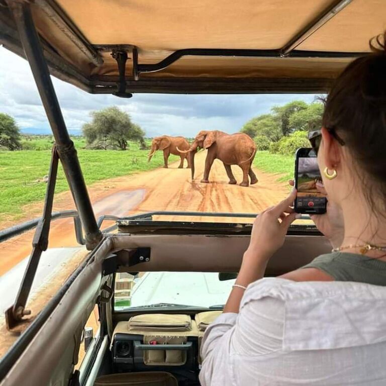 Hakuna Matata Safaris