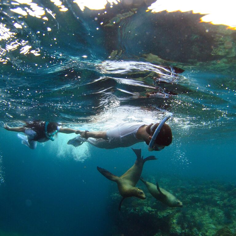 Baja Charters