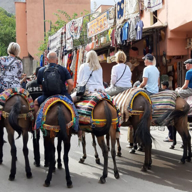 Fes to middle atlas day trip
