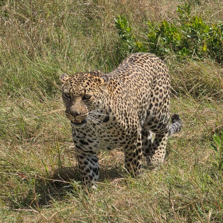 Winny Safaris Africa