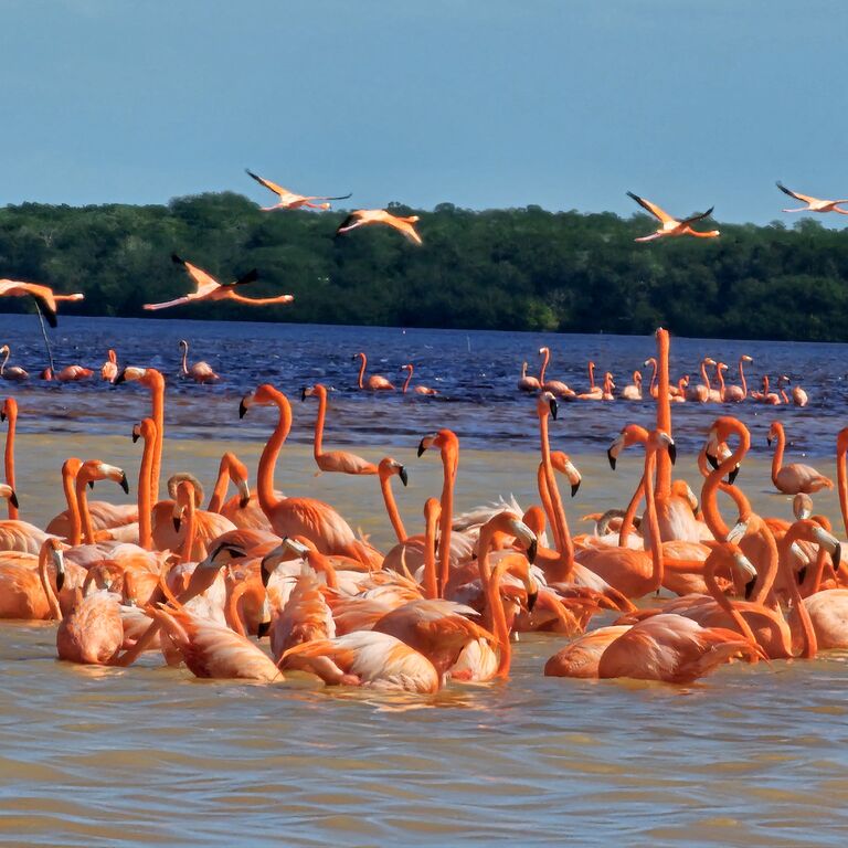 Guías de Yucatán