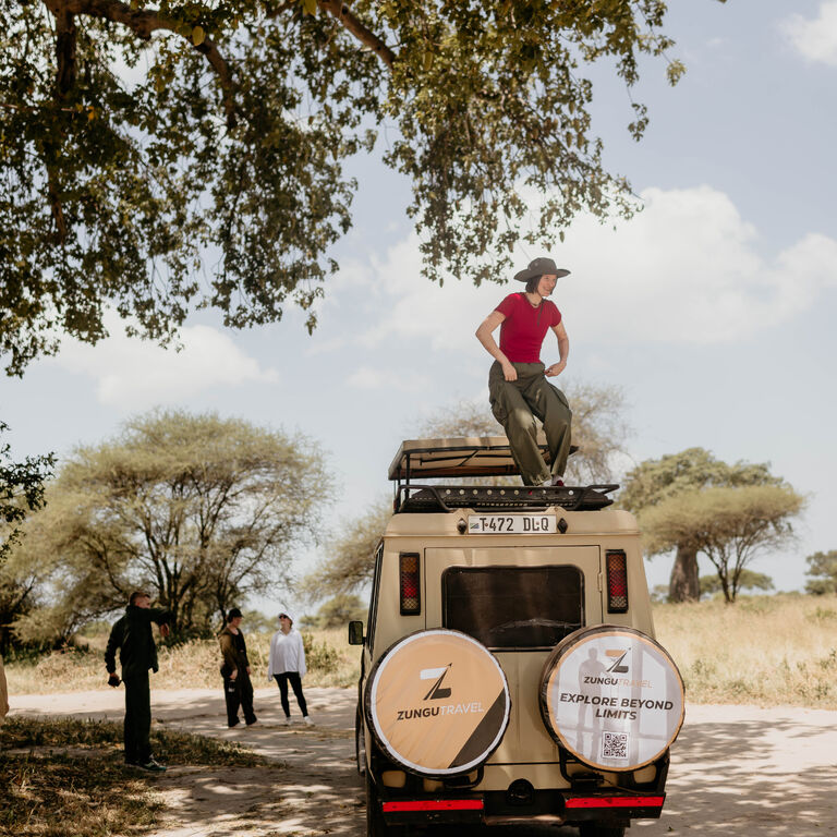 Zungu Travel