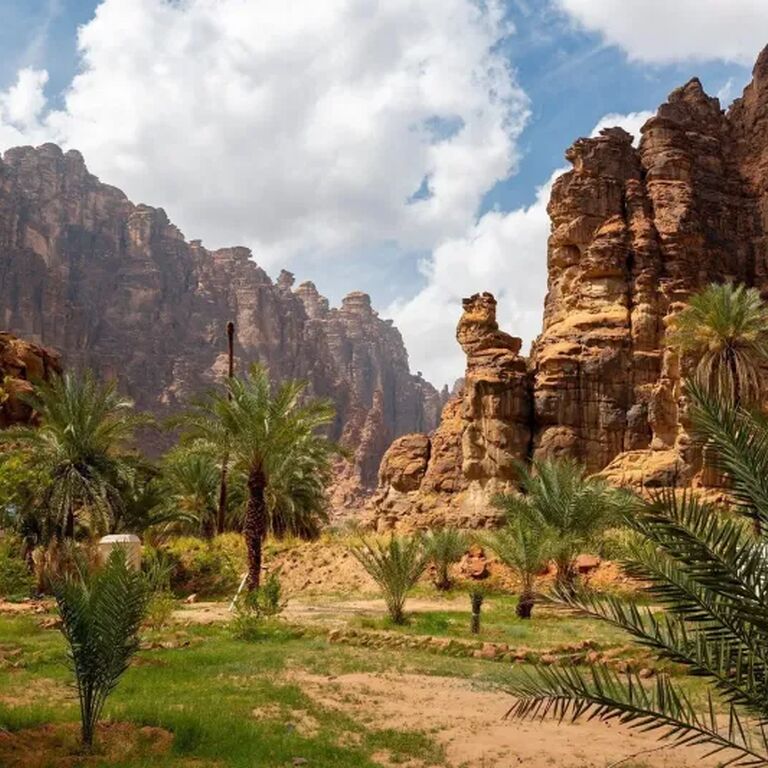 Destination Arabia