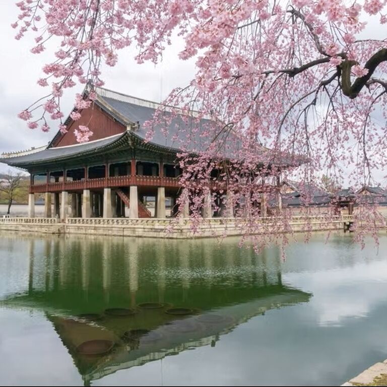 Travel & Photos Korea