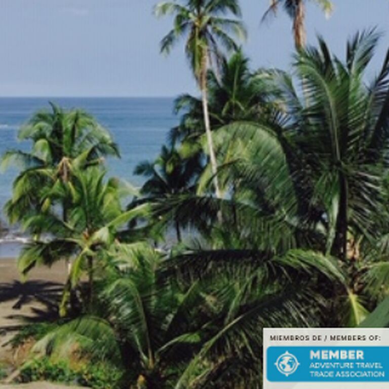 Chaska Tours Colombia