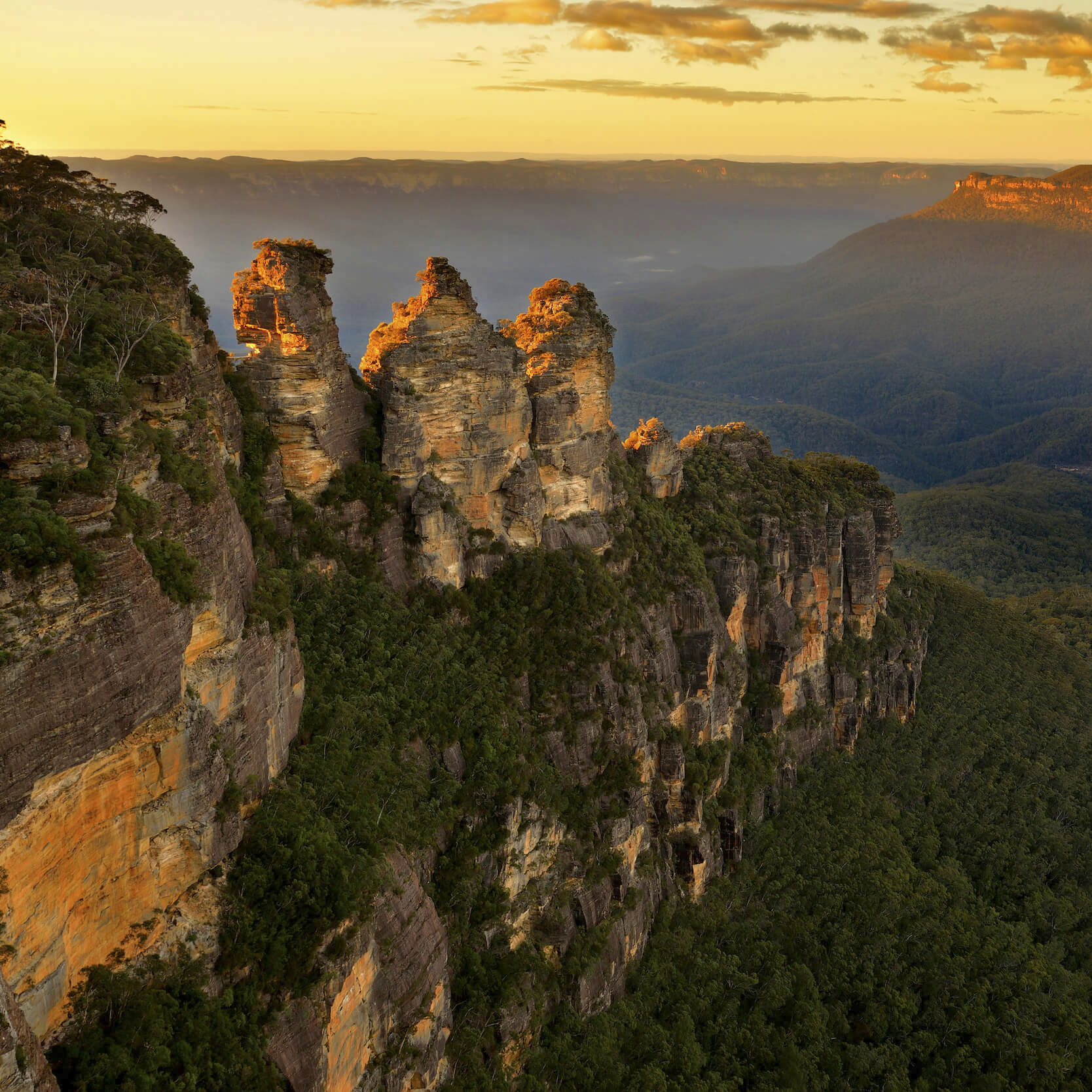 FeelGood! Nature Tours Sydney - Blue Mountains