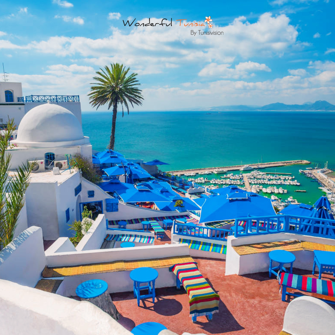Vision Voyages/ Wonderful Tunisia