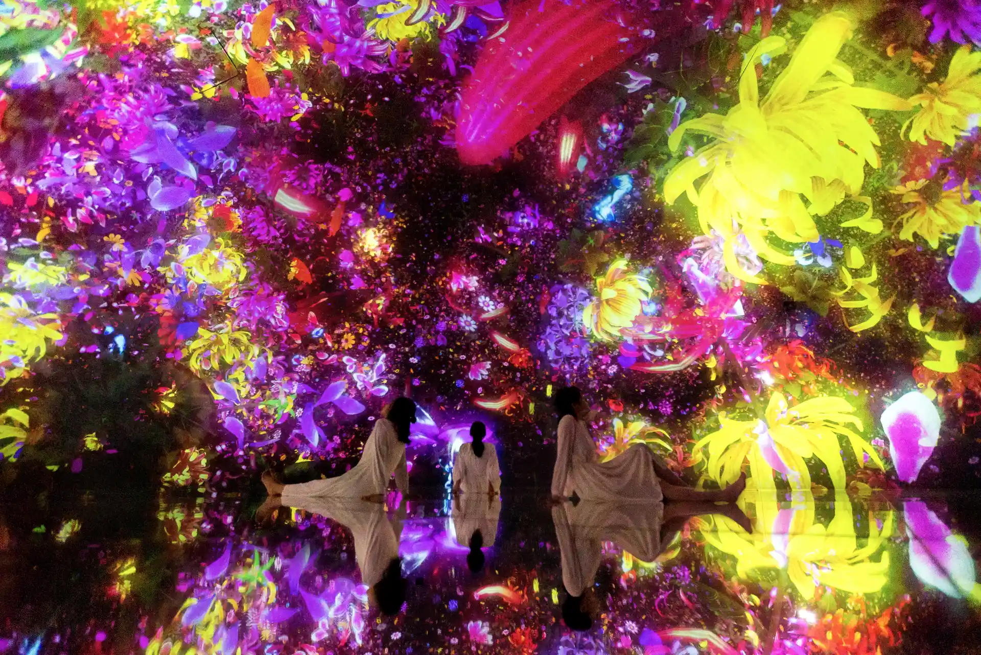 teamLab Planets Tokyo, Japan