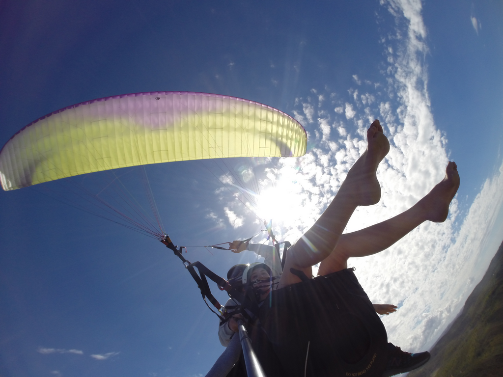 Dolphin Paragliding