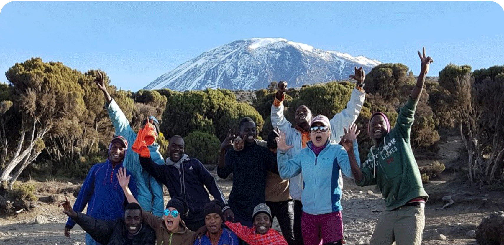 KILIECONOMY SAFARI