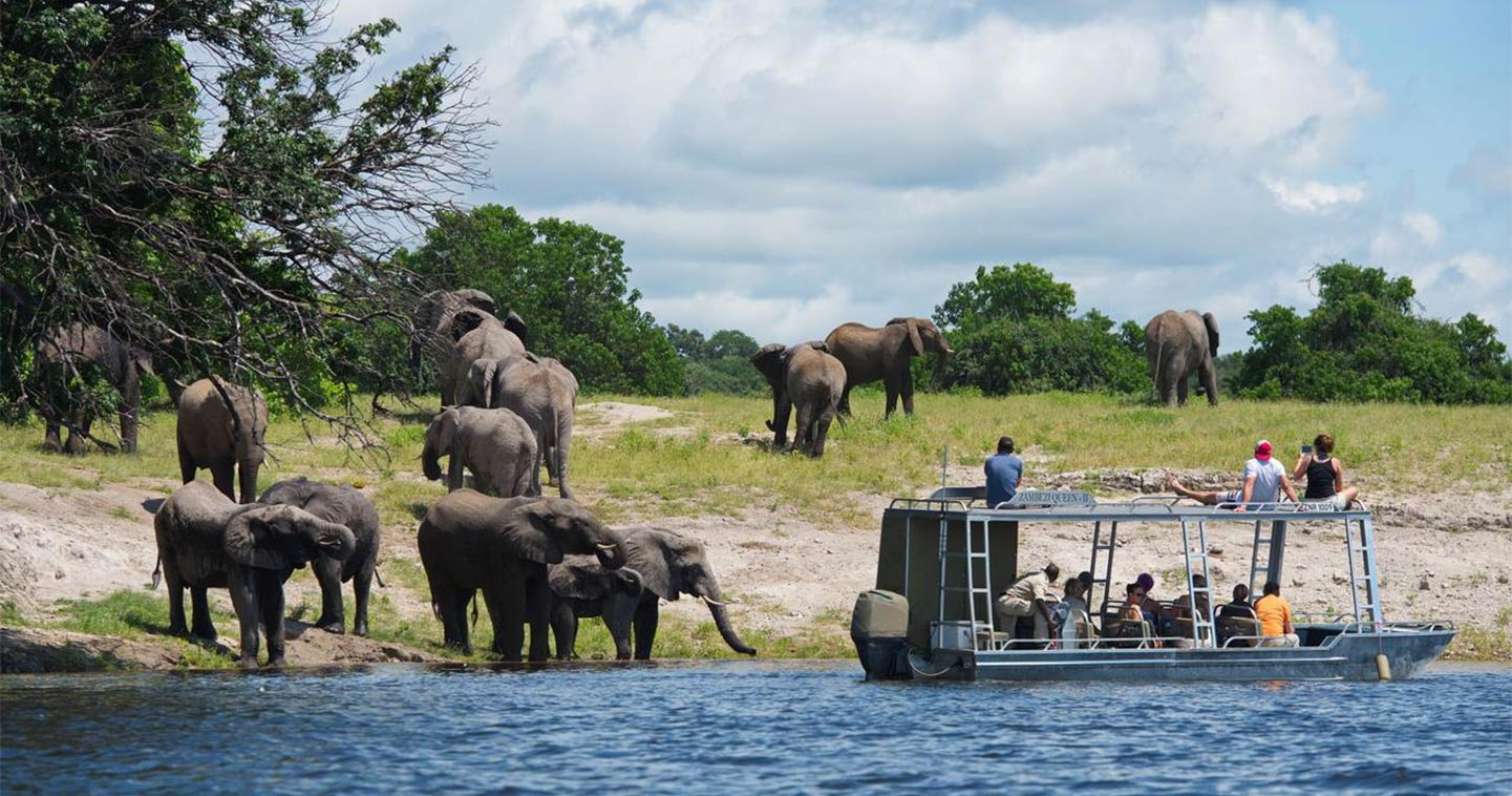 Africa Beast Safaris