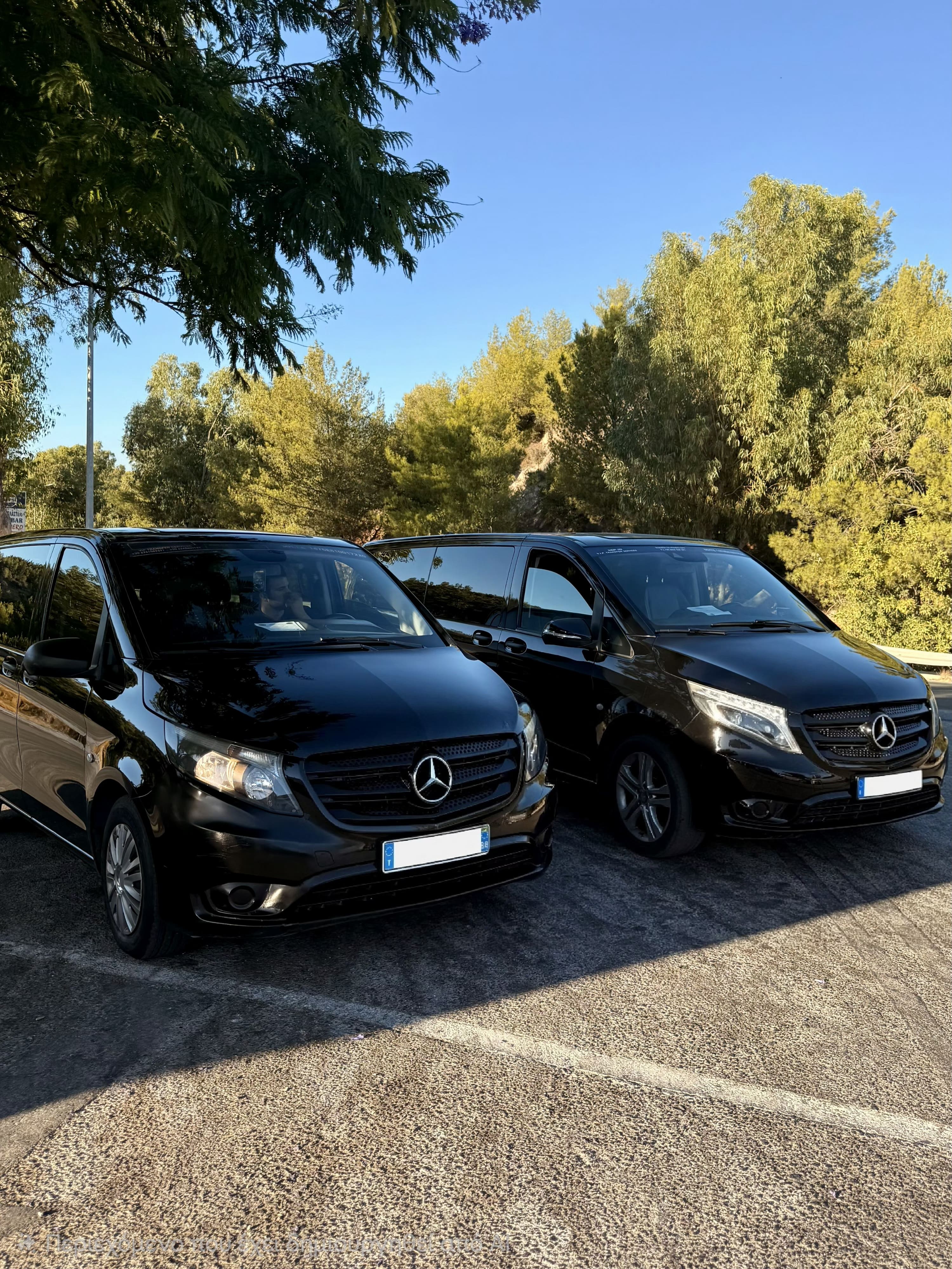 Hop In VIP Rhodes - Transfers & Tours