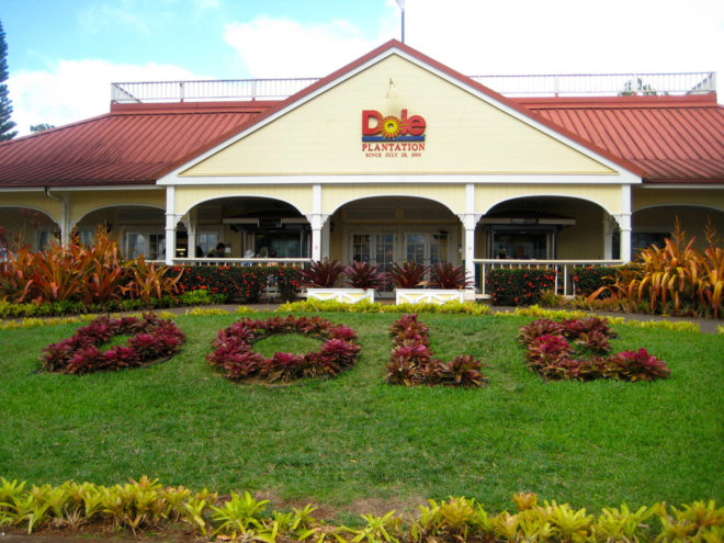 Fun Tours Oahu