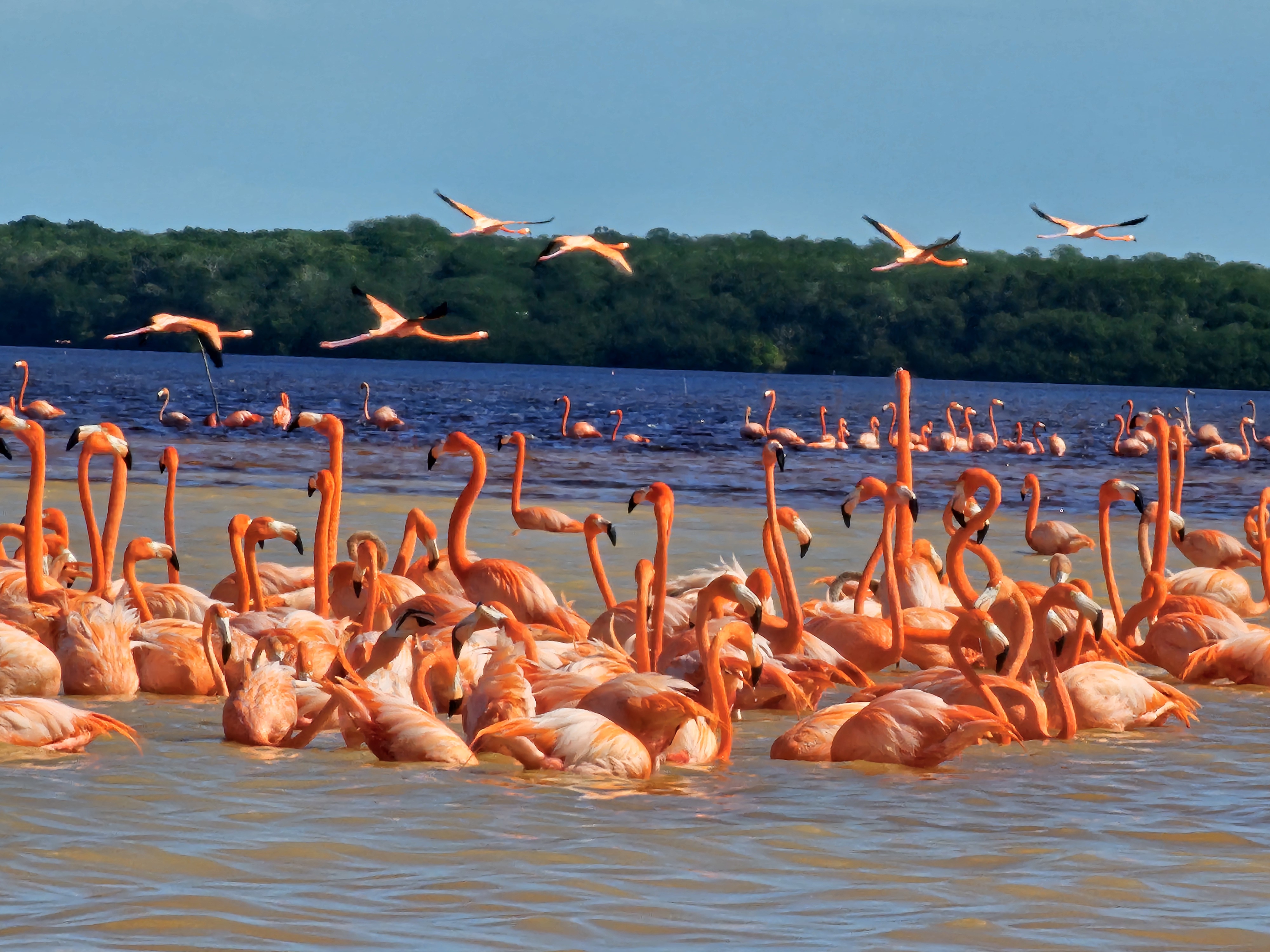 Guías de Yucatán