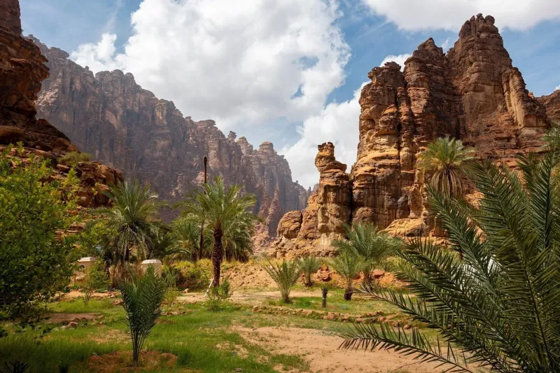 Destination Arabia
