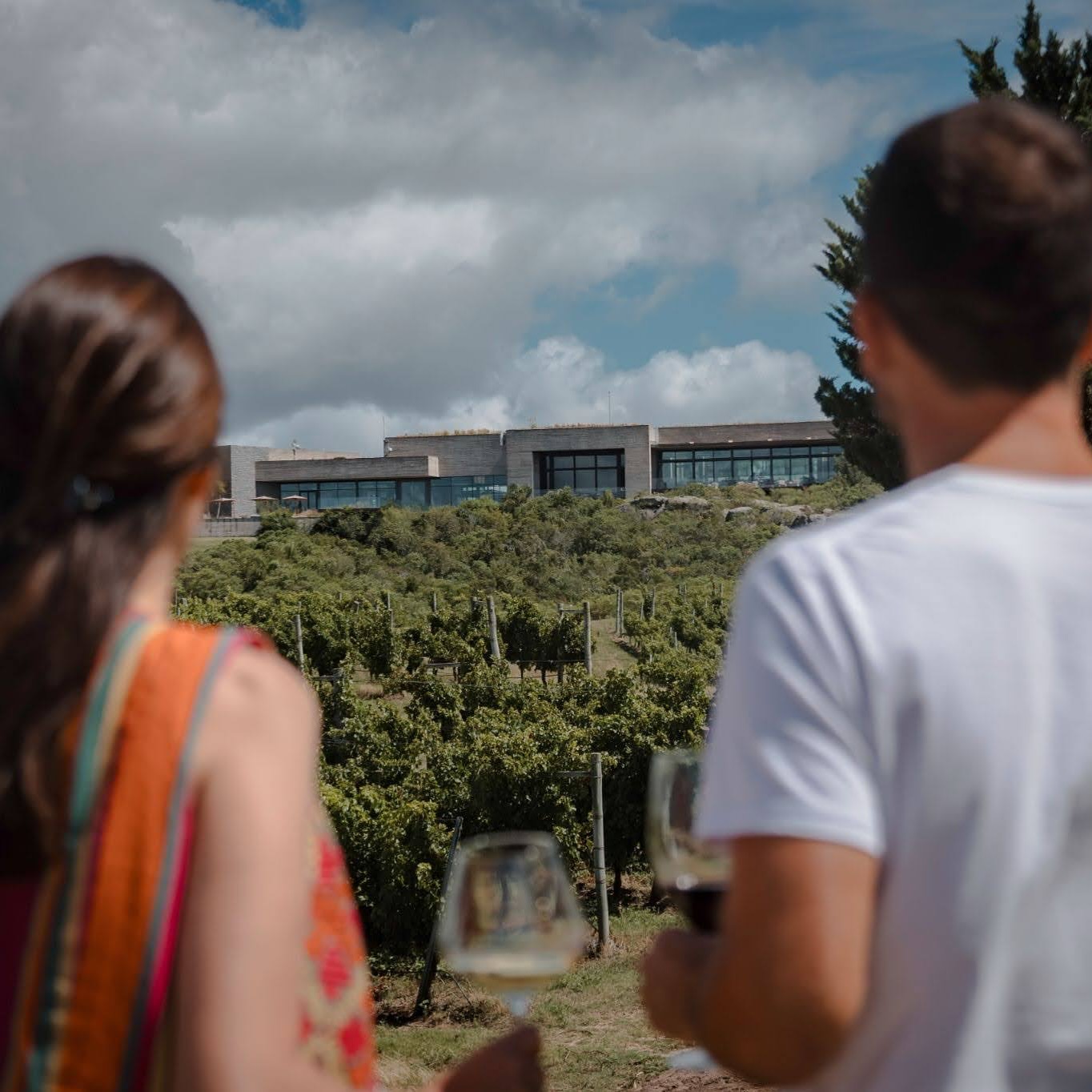 The Wine Experience