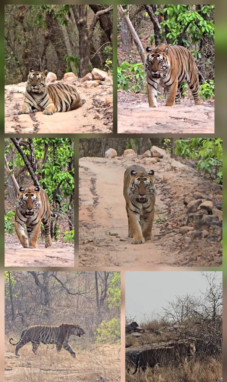 Meera tours and travel