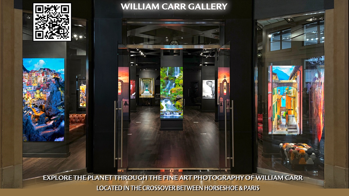 WILLIAM CARR GALLERY