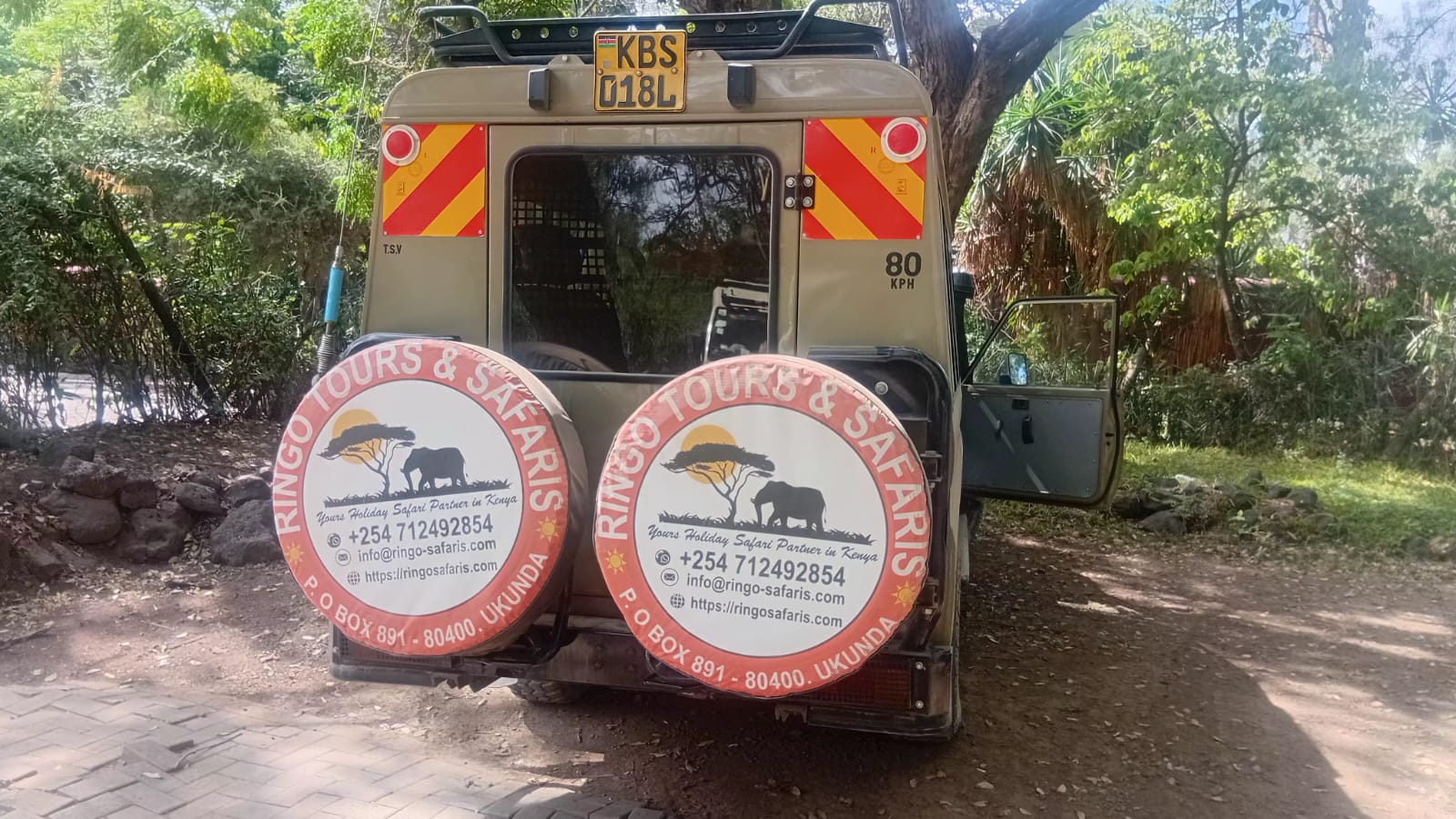 Ringo Tours and Safaris