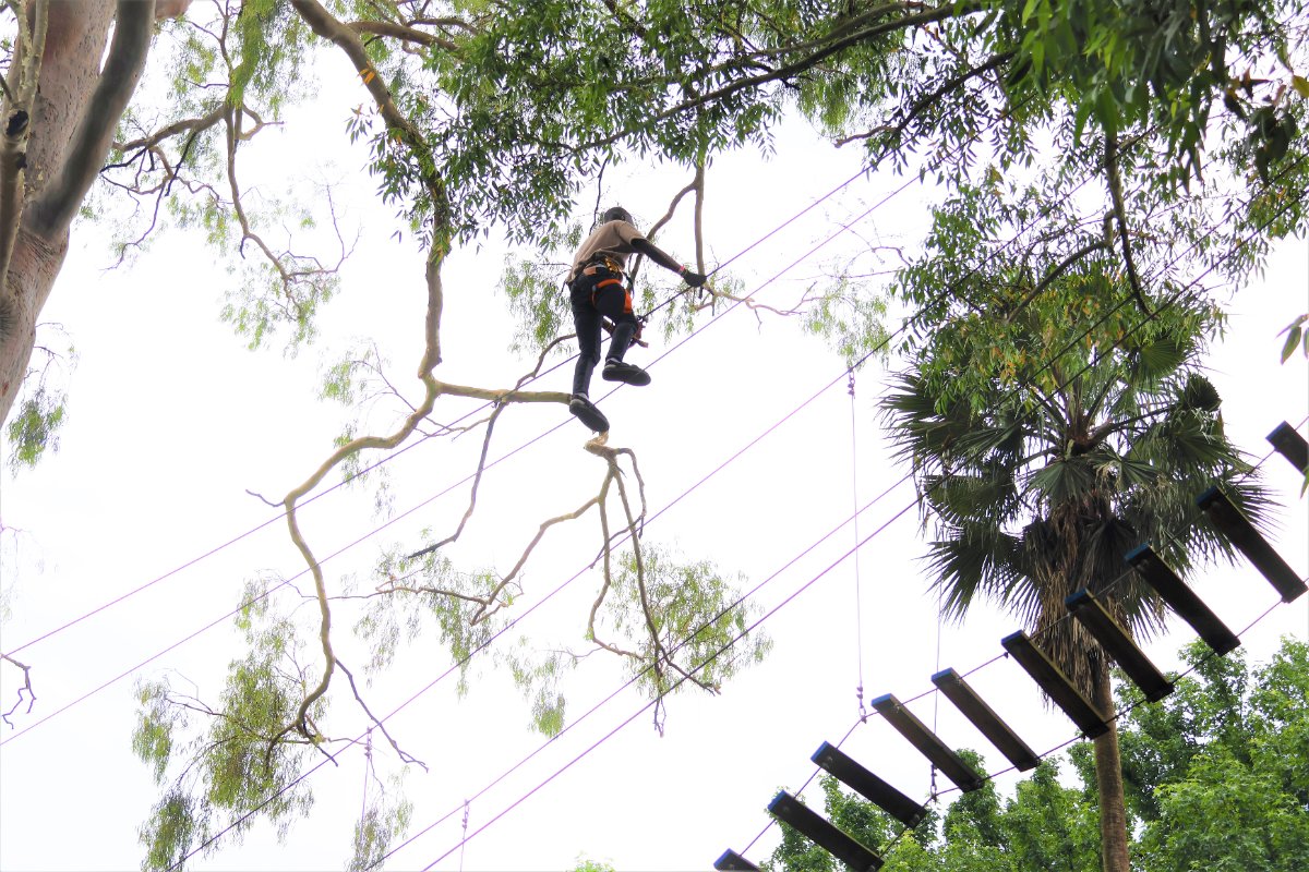 Acrobranch Pietermaritzburg