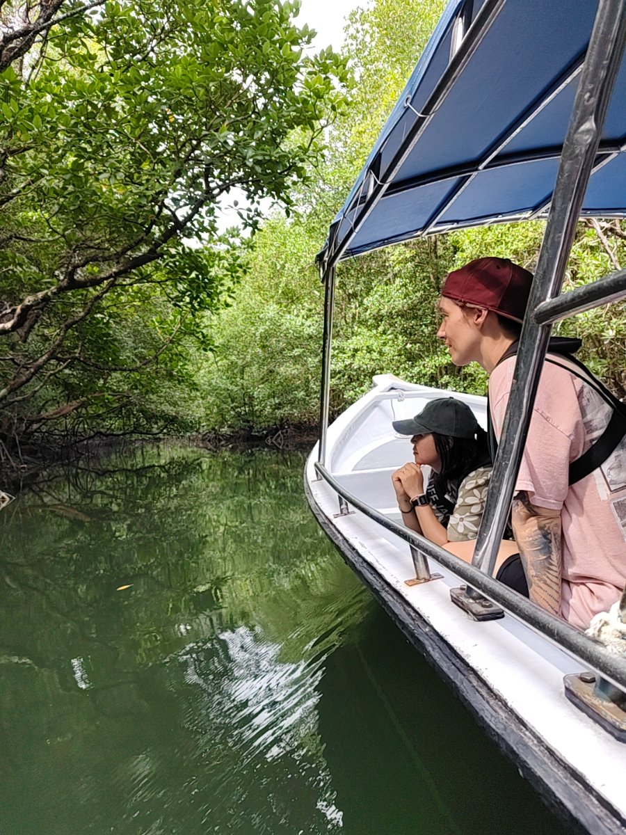 Mangrove Boat & Fun Kayak Tour