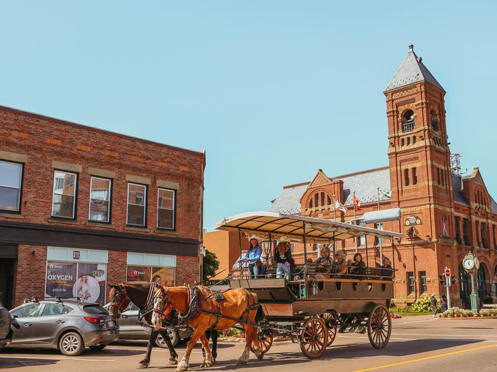 Emerald Isle carriage tours