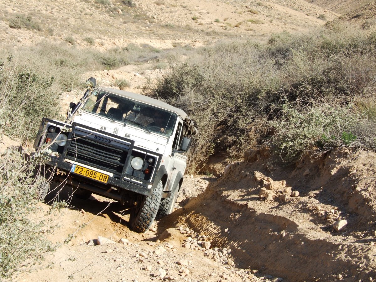 Israeli Wild