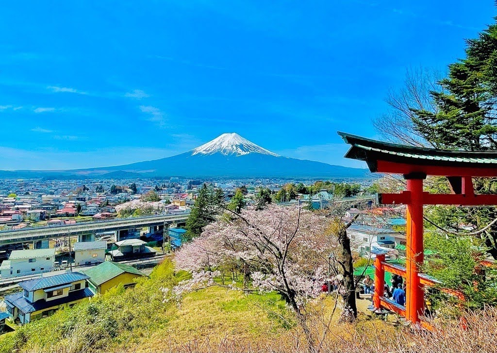 Domo Japan Guide