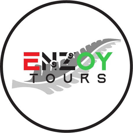 ENZOY TOURS LIMITED