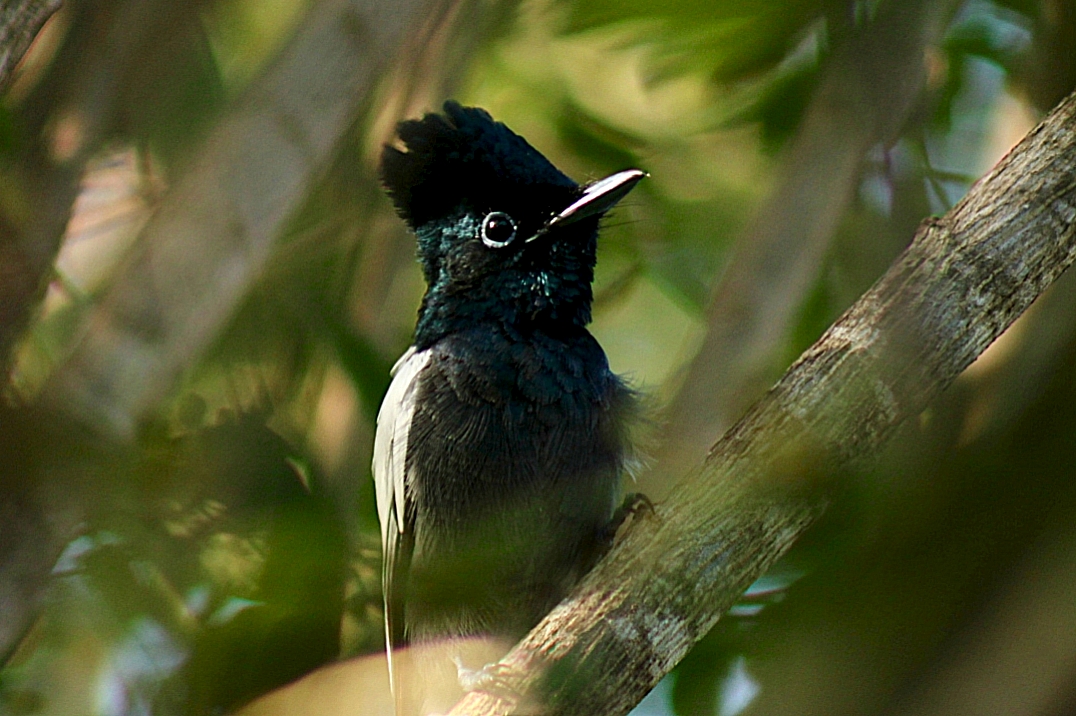 Ecological Tours Kenya