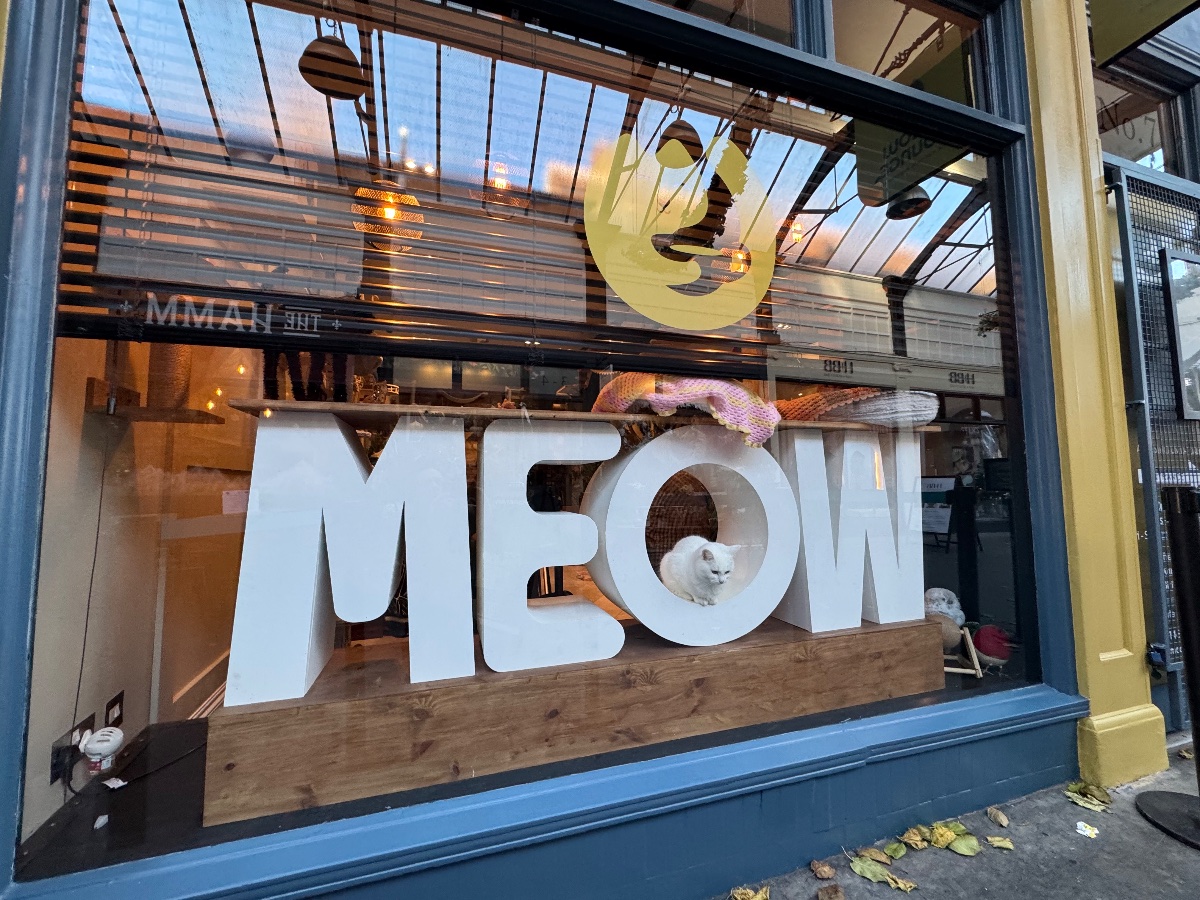 Meow Lounge