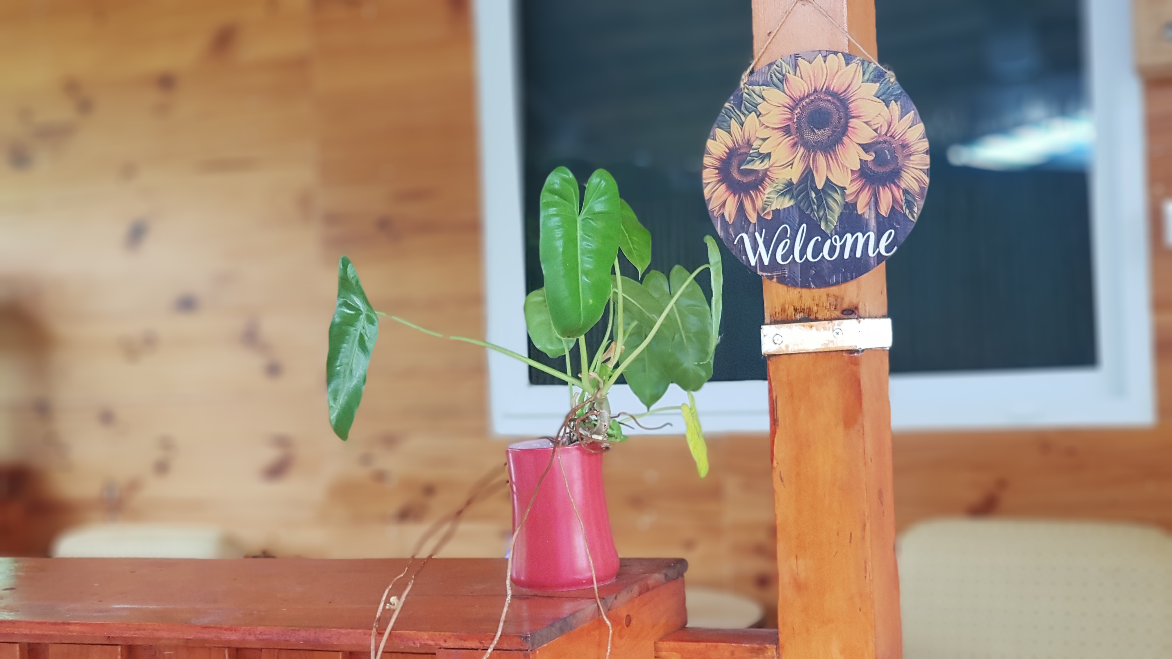 Secluded Entire Cabin