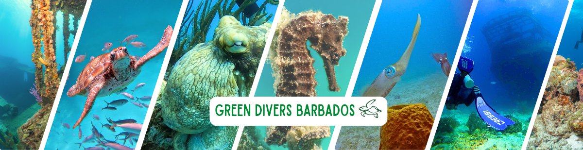 Green Divers Barbados
