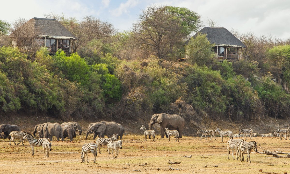 Makgadikgadi Pan Adventure