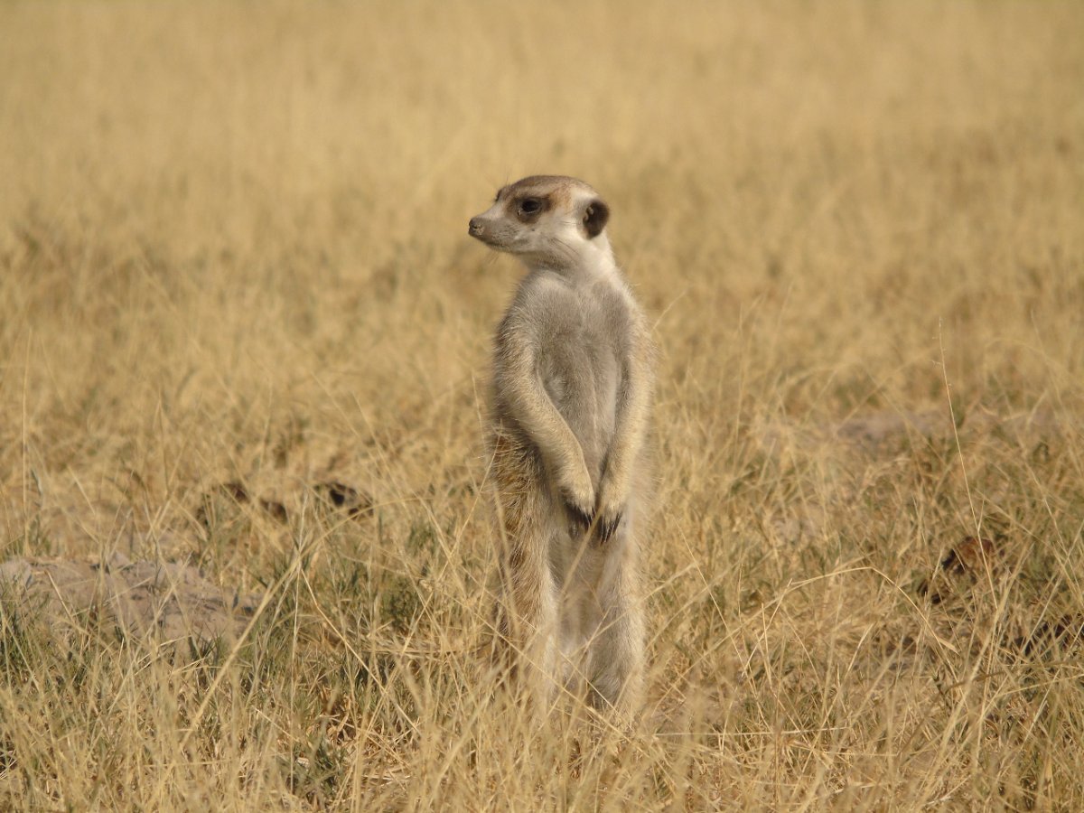 3 Days - Makgadikgadi Salt Pan