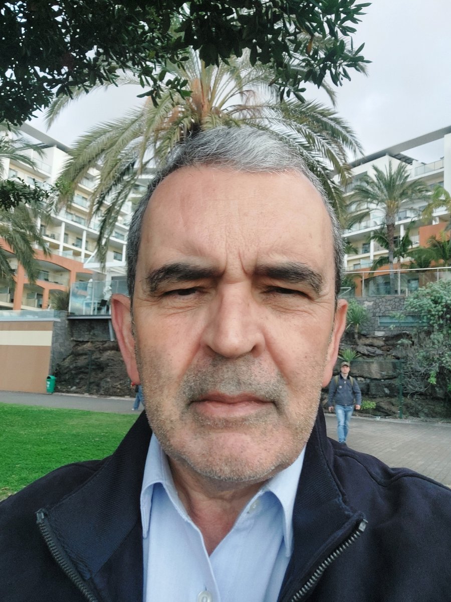 Hamilton Meneses