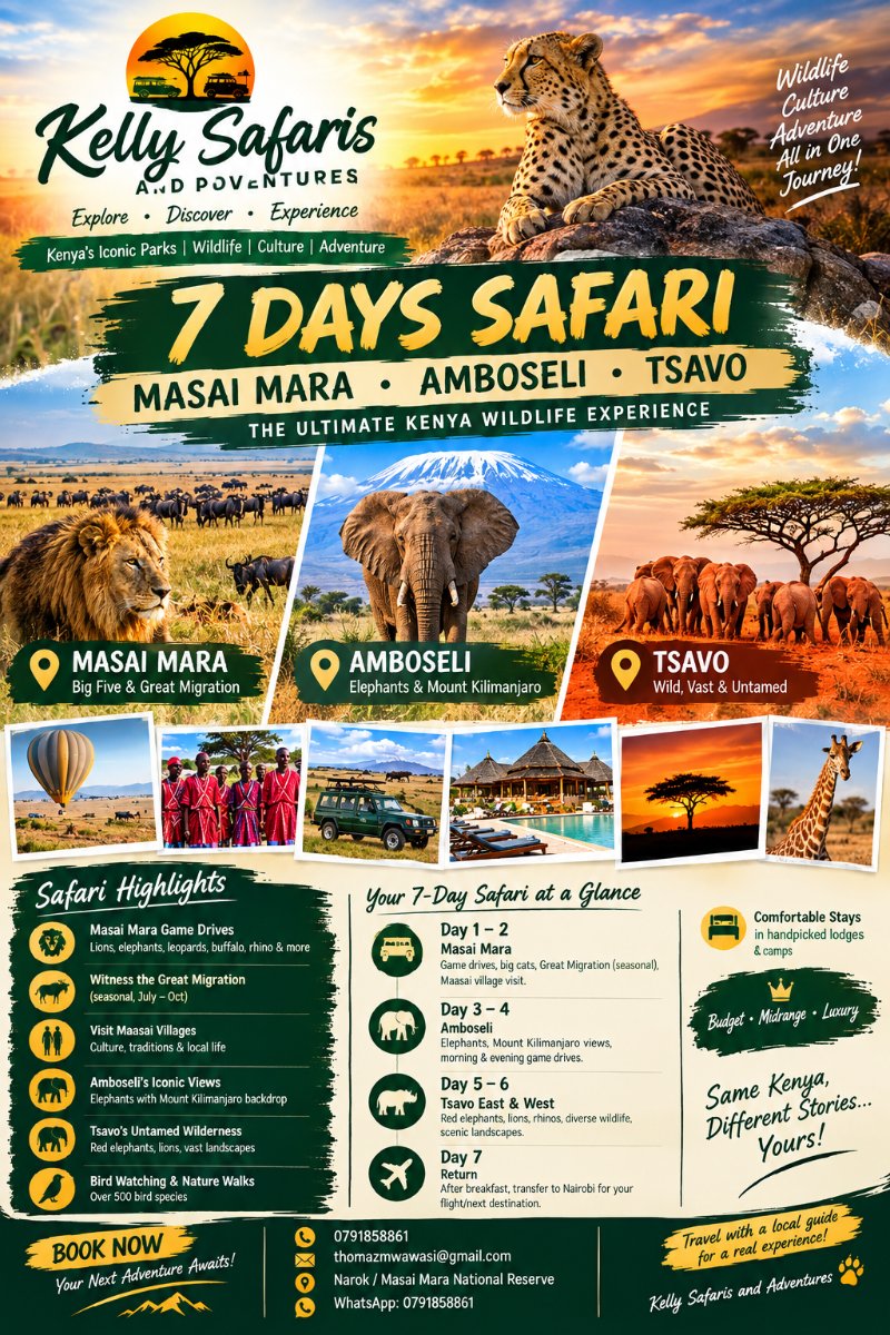 Kelly safaris and adventures