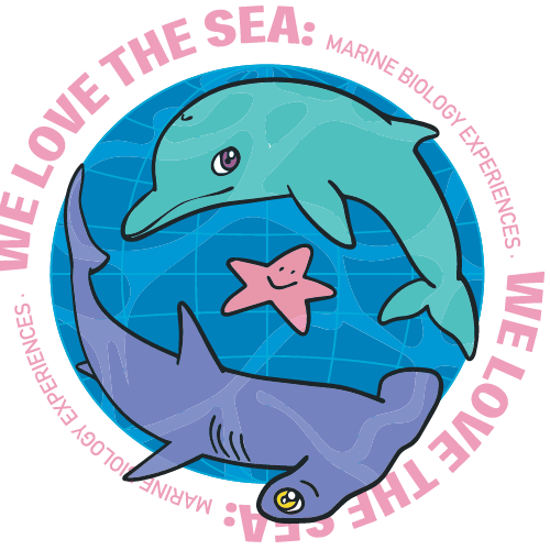 We Love the Sea Conservation Experiences