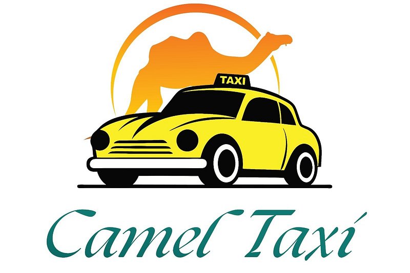 Camel Taxi Tours