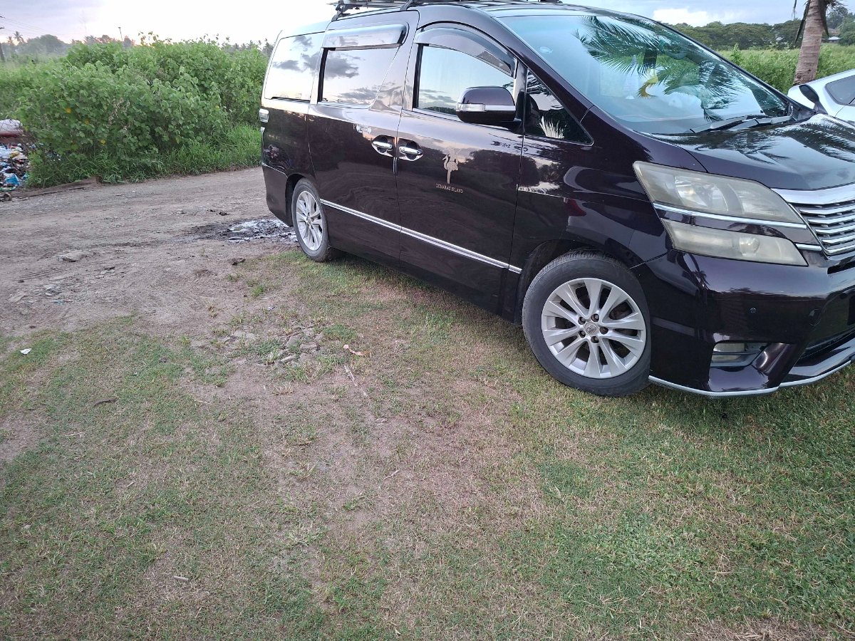 Vip transfer and tours