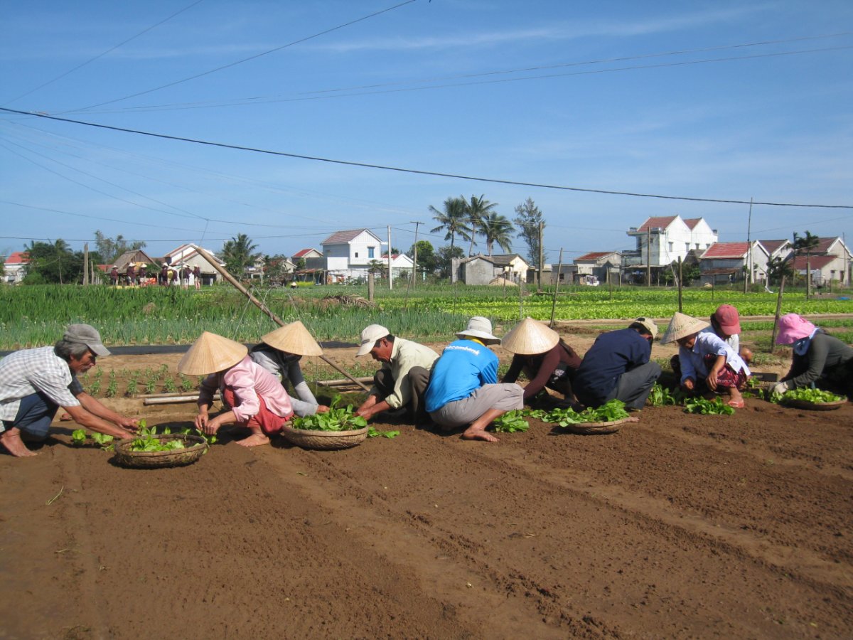 Tuấn – Organic Herb Garden Fam